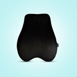 Spyno SpineEase Chair Support