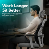 Spyno SpineEase Chair Support