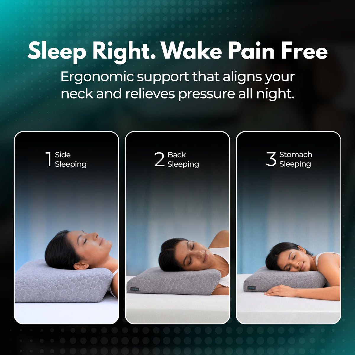 Spyno Ortho Support Pillow