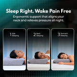 Spyno Ortho Support Pillow